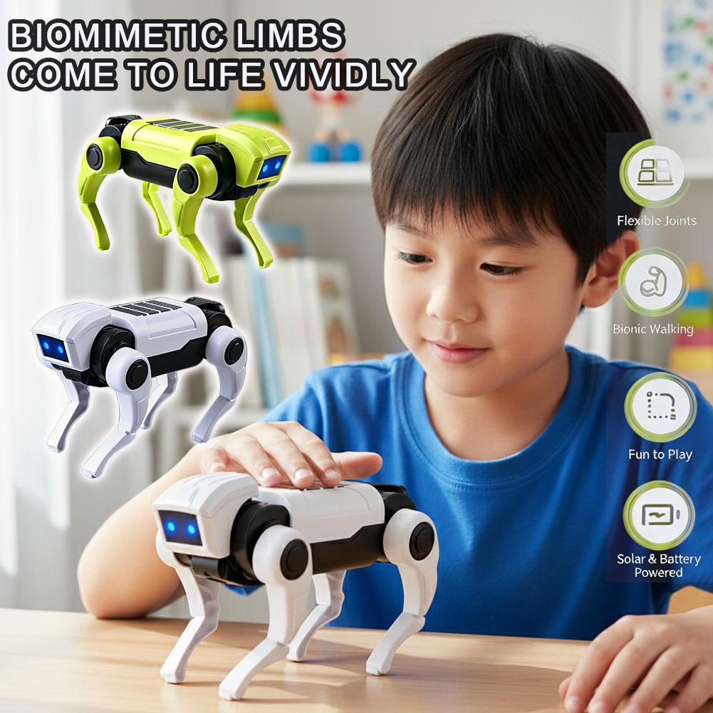 DIY Assembly RC Robot Dog Toy  - Science Robot 评论和价格