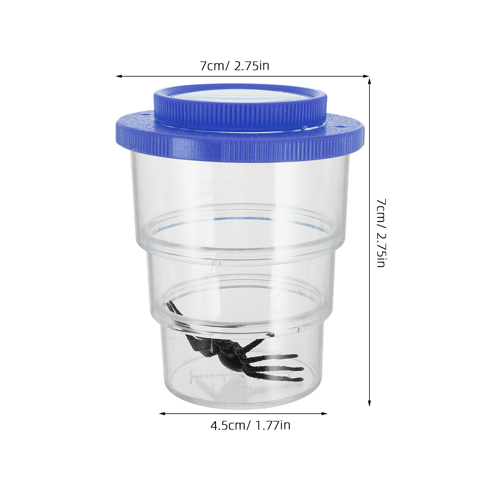 Three-Section Insect Observati - Science Nature 评论和价格