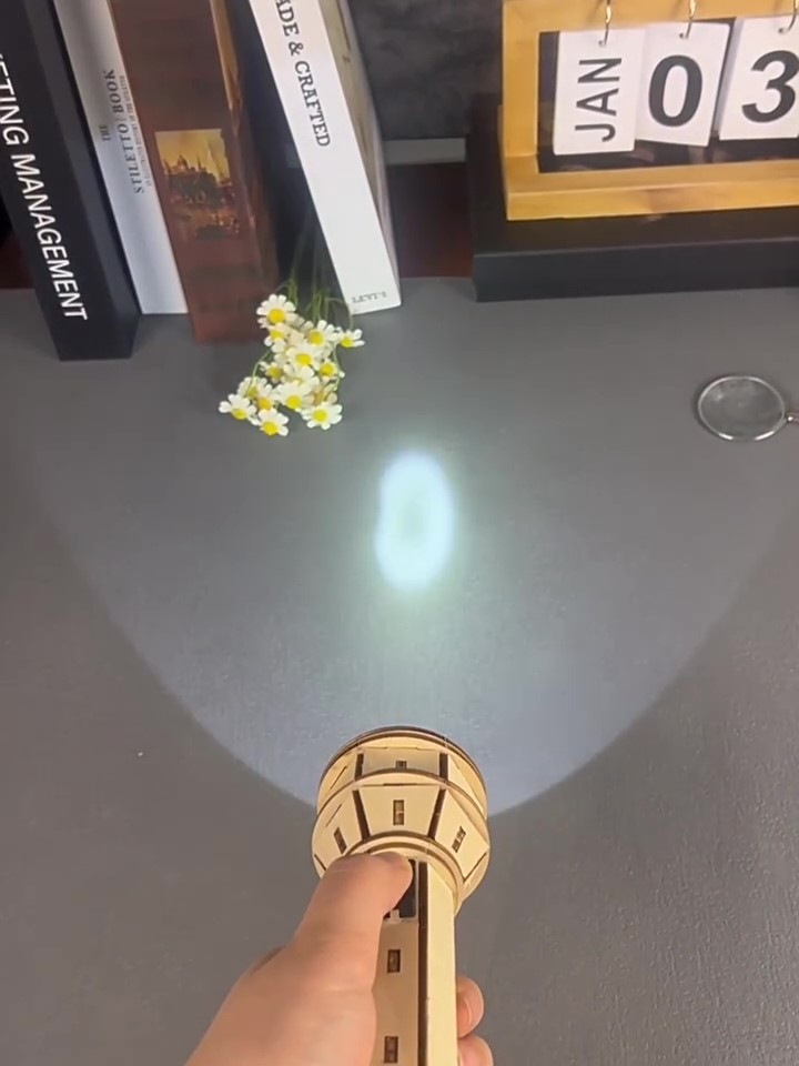 Wooden DIY Flashlight Puzzle K - Science Project Physics 评论和价格