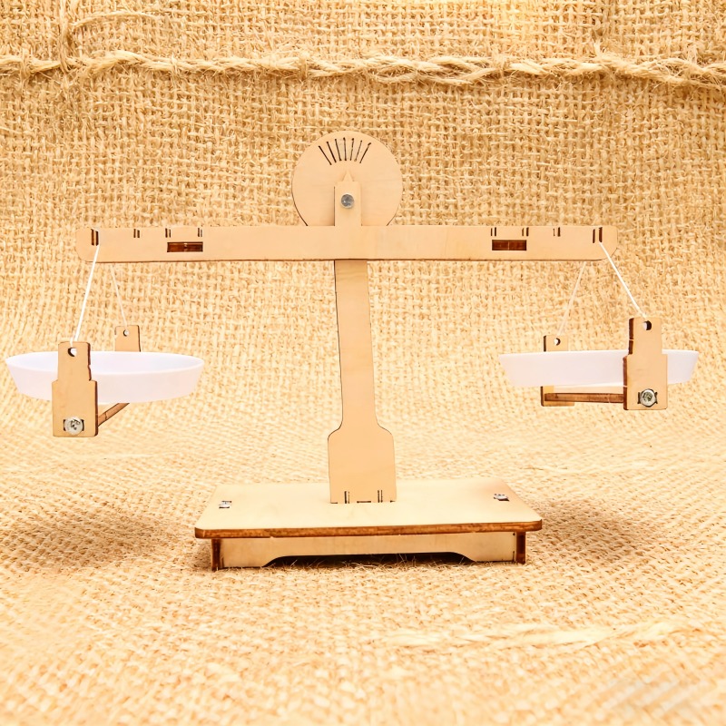 Wooden DIY Balance Scales Asse - Science Project Physics 评论和价格